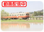 小湊鐵道 懐石料理列車